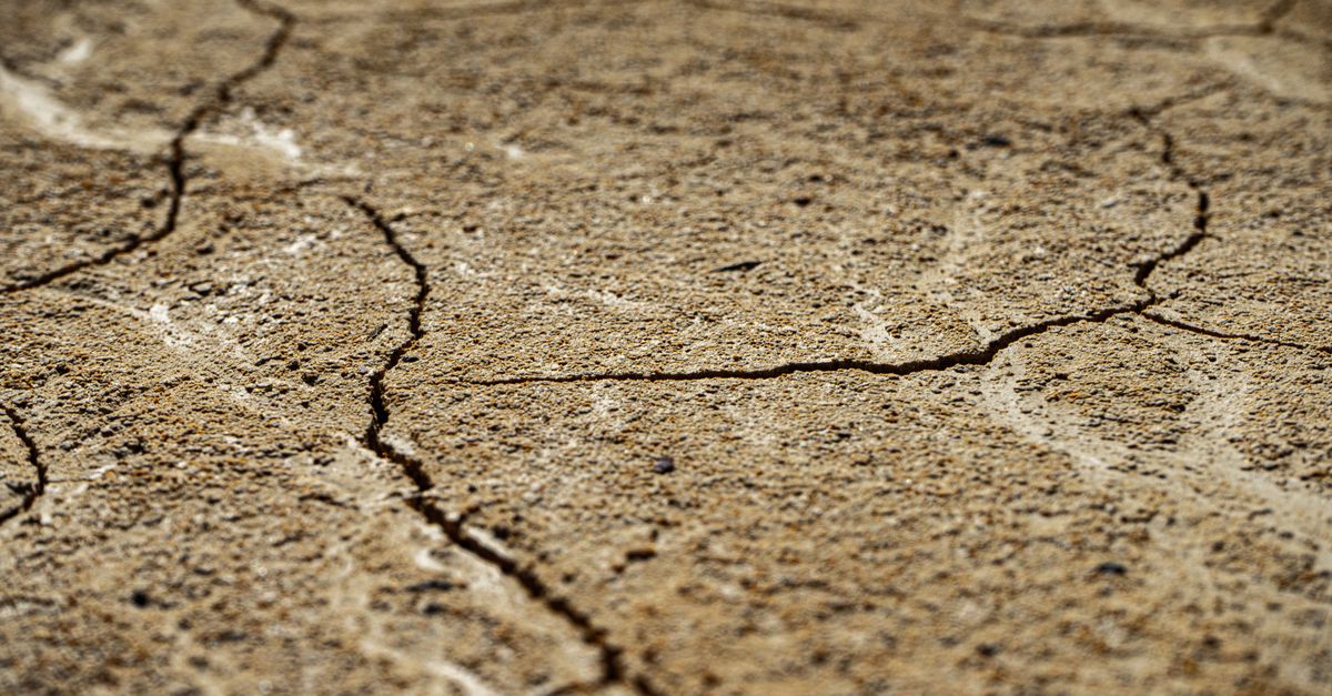Why Business as Usual Is Becoming a Business Risk